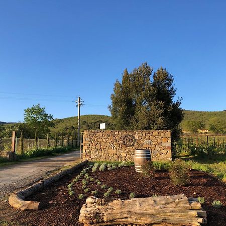 Agriturismo La Posta Reale Castiglion Fibocchi Extérieur photo