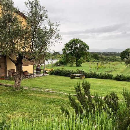 Agriturismo La Posta Reale Castiglion Fibocchi Extérieur photo