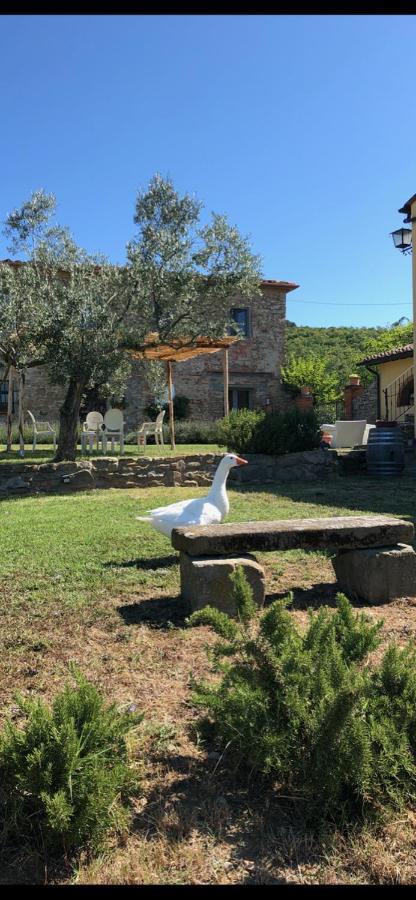 Agriturismo La Posta Reale Castiglion Fibocchi Extérieur photo
