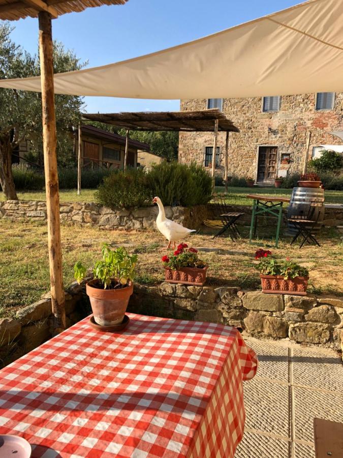 Agriturismo La Posta Reale Castiglion Fibocchi Extérieur photo