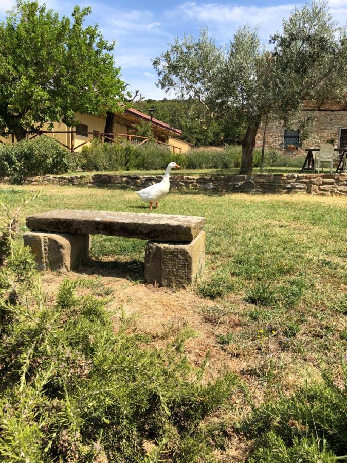 Agriturismo La Posta Reale Castiglion Fibocchi Extérieur photo