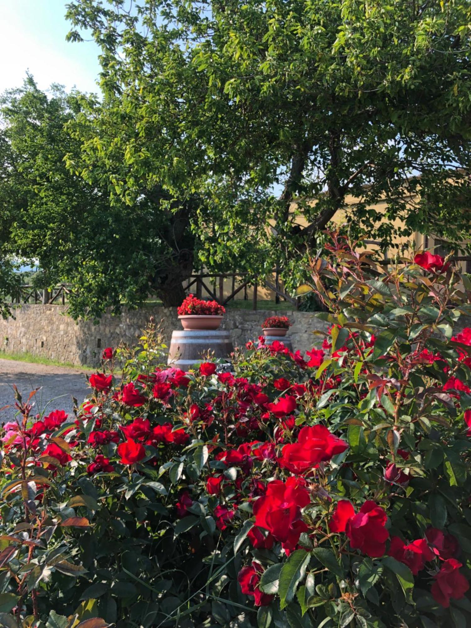 Agriturismo La Posta Reale Castiglion Fibocchi Extérieur photo