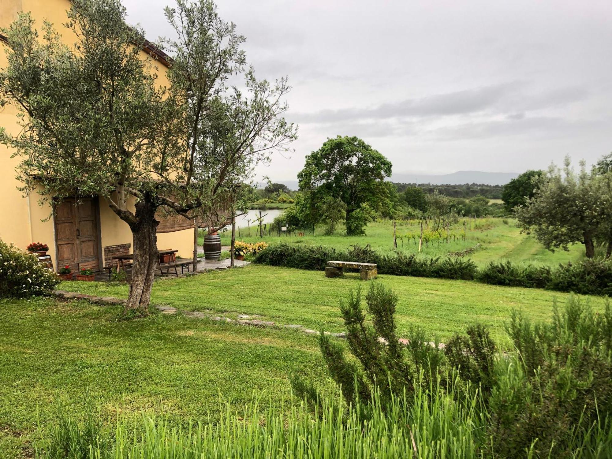 Agriturismo La Posta Reale Castiglion Fibocchi Extérieur photo