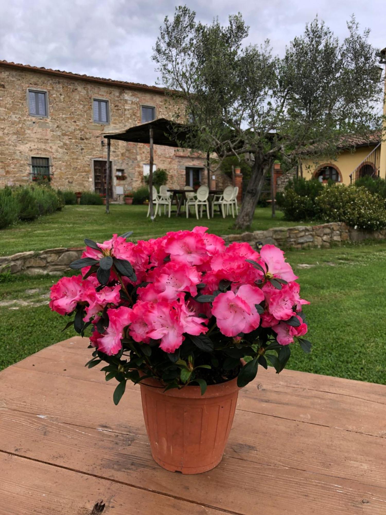 Agriturismo La Posta Reale Castiglion Fibocchi Extérieur photo