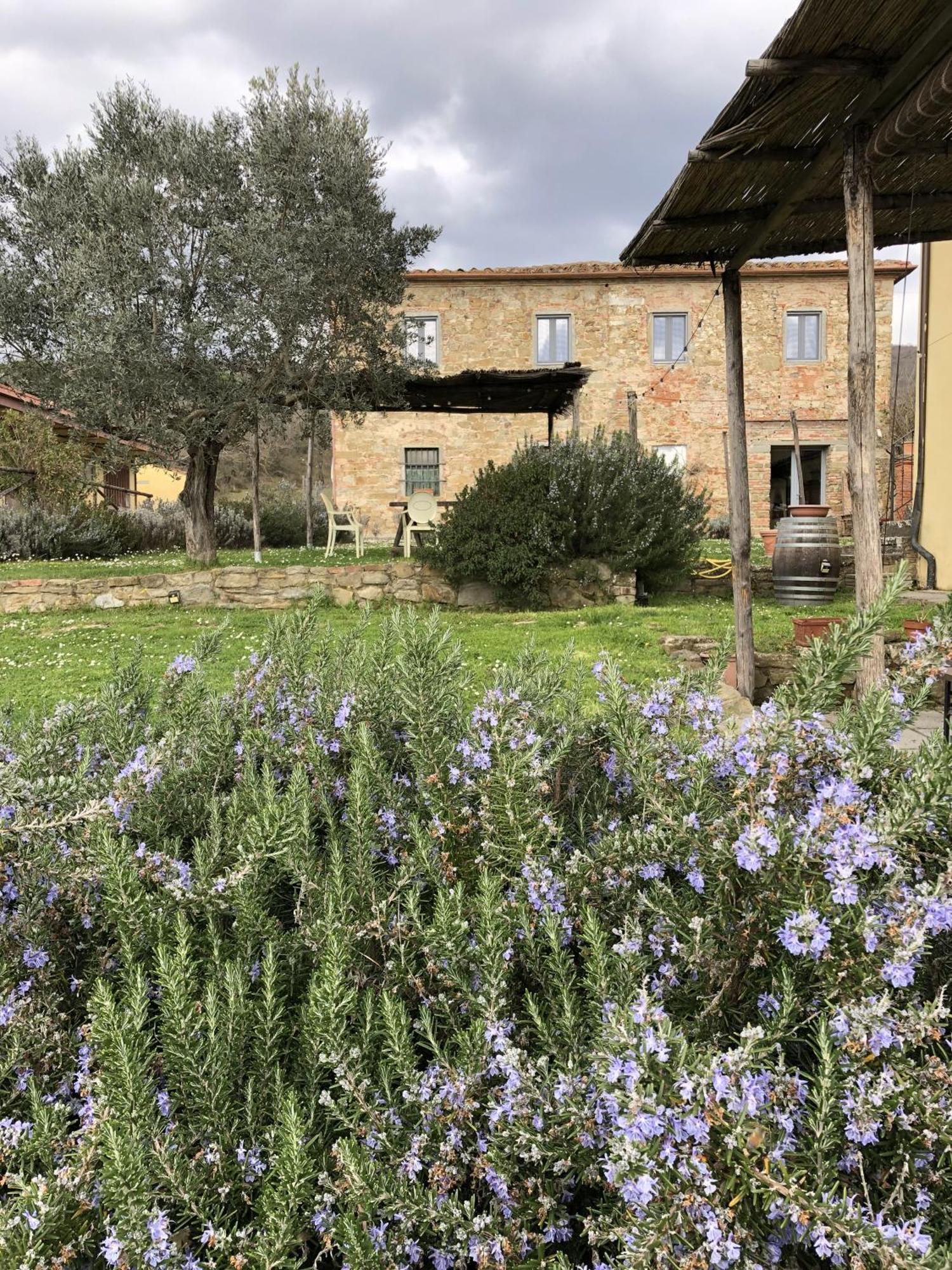 Agriturismo La Posta Reale Castiglion Fibocchi Extérieur photo