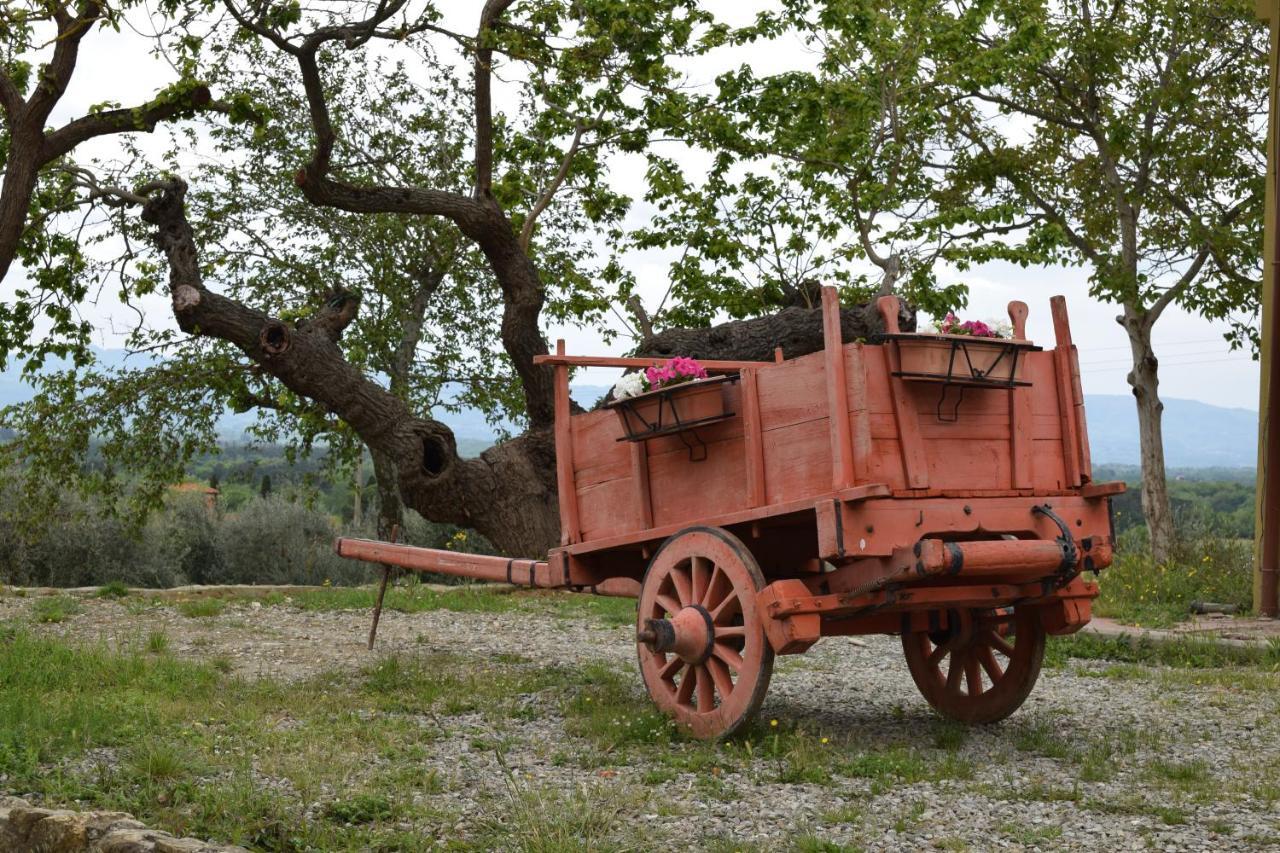 Agriturismo La Posta Reale Castiglion Fibocchi Extérieur photo